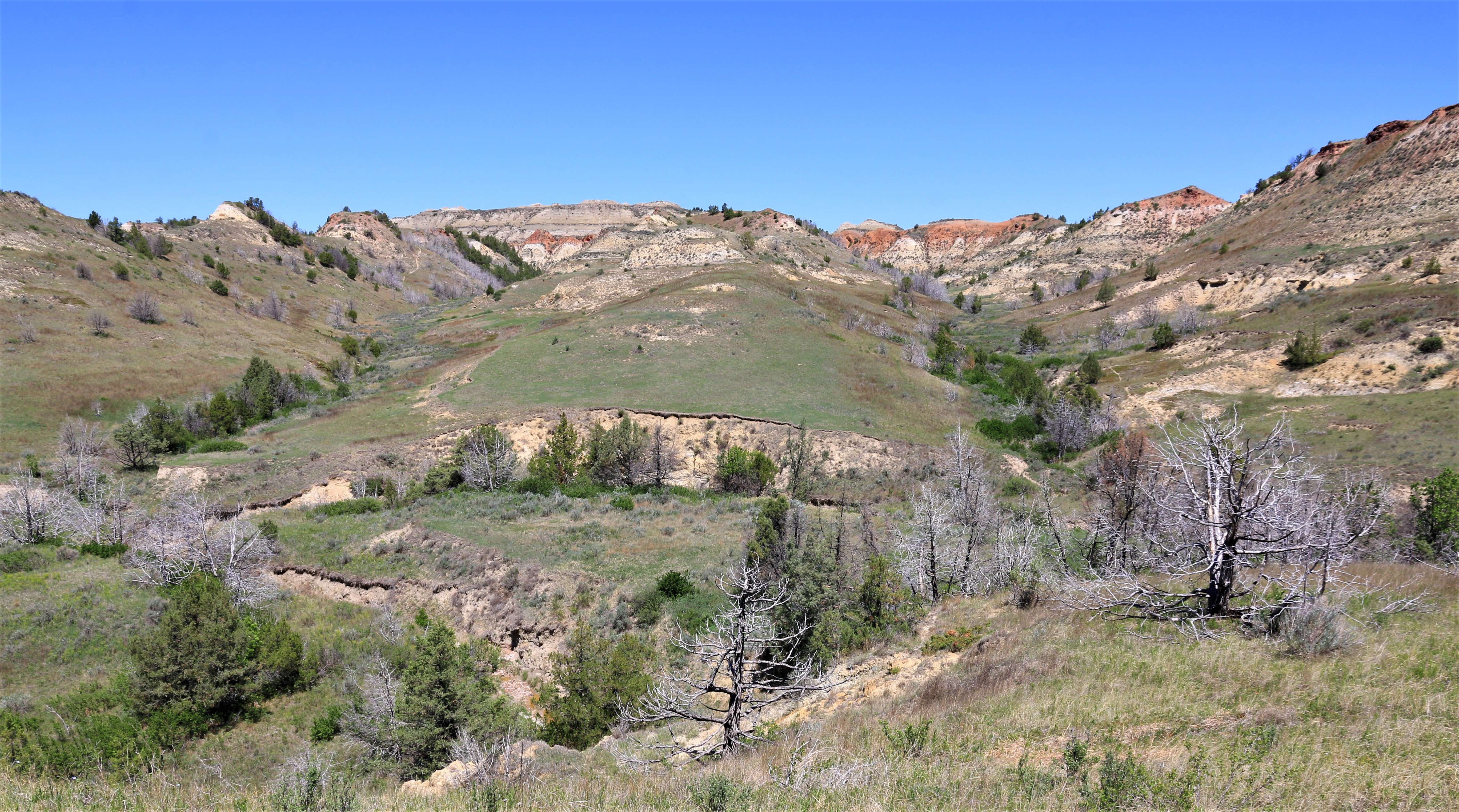 Theodore Roosevelt NP